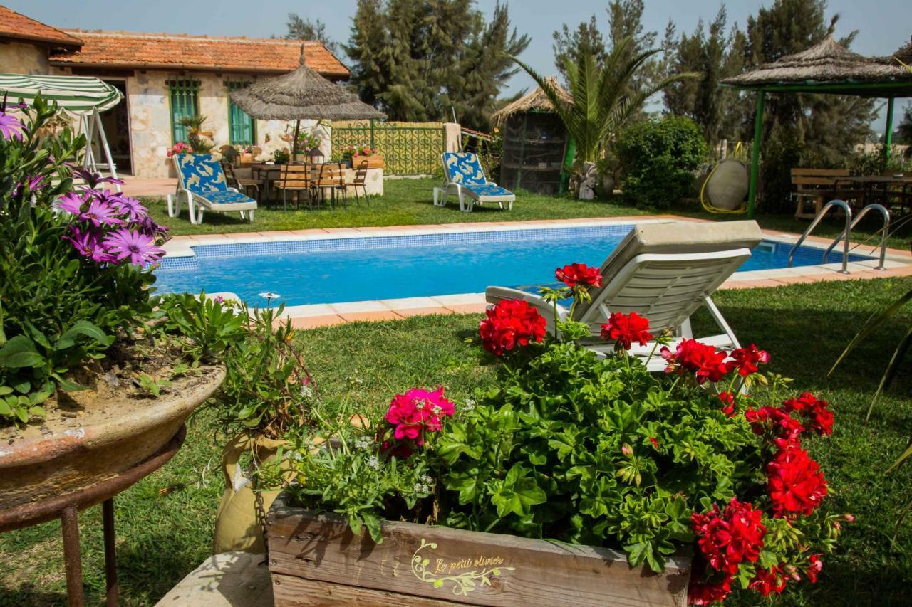 Bed & Breakfast Le Petit Olivier
