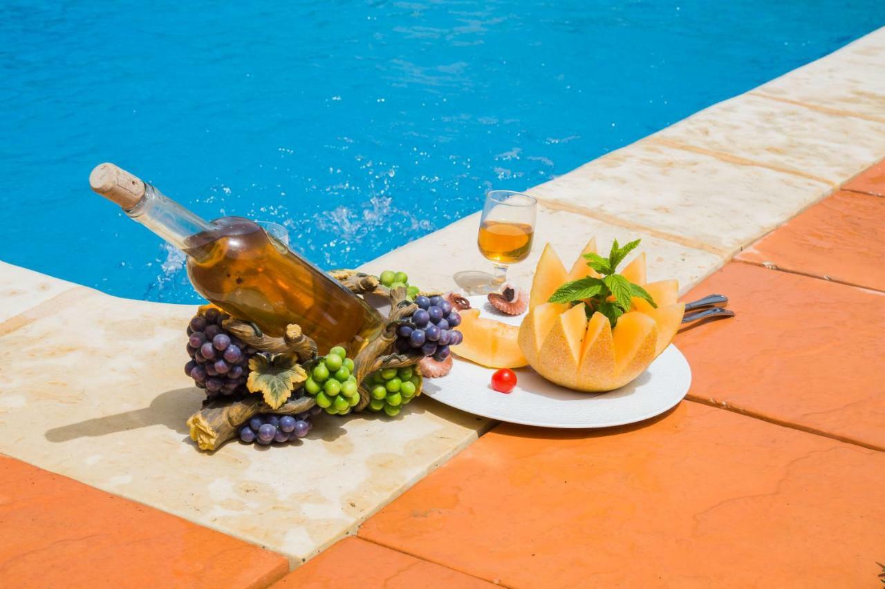 Bed & Breakfast Le Petit Olivier Tunis