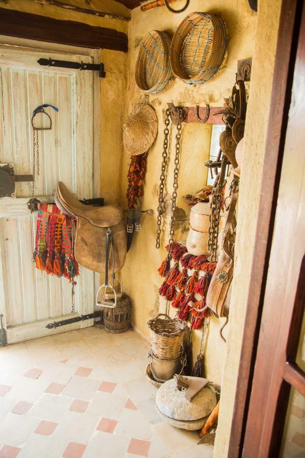 Bed & Breakfast Le Petit Olivier Tunis